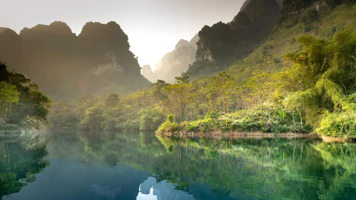 绿色科技全自动
